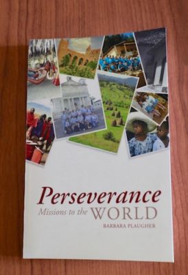 Book cover of Perseverance