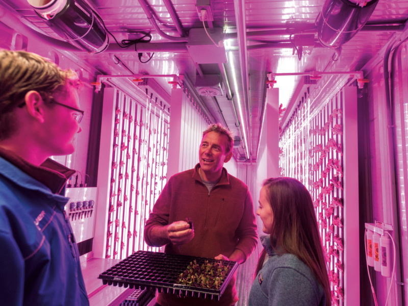 Professor Mark Green converses with students inside a bright pink shipping container.