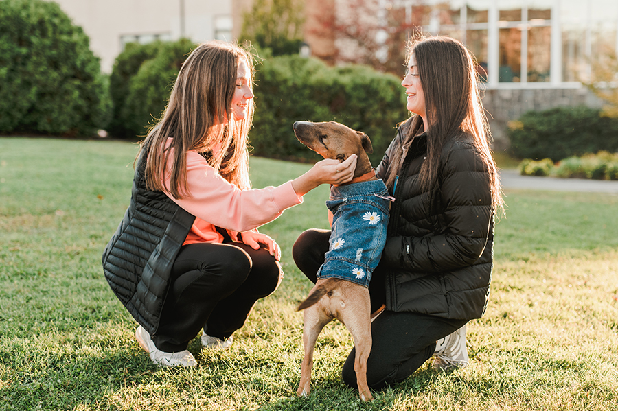 Saint Joseph's College of Maine students pet a dog on campus.