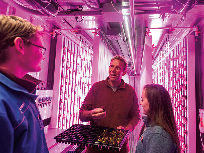 Professor Mark Green instructs a student in the hydroponic farm
