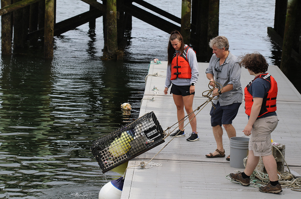 Steve Jury pulls a lobster trap from the ocean and students look on