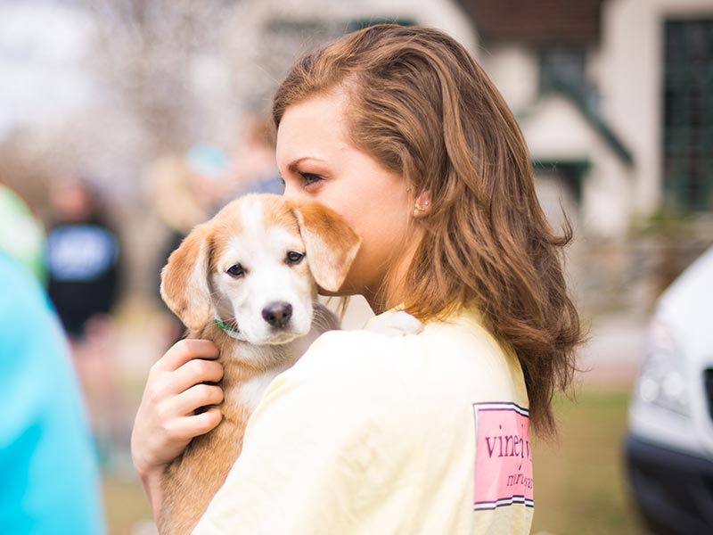Student hugs a puppy while taking a break from studying for finals