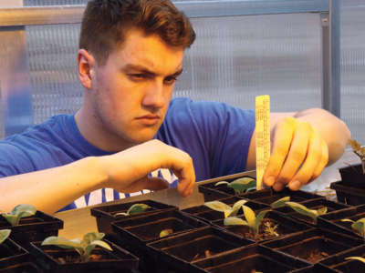 Tyler Barrows measuring seedling growth